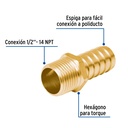 ADPO-1-2M+FC1.jpg