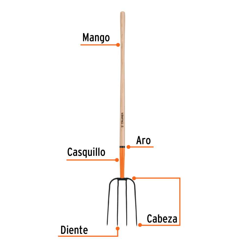 BPJ-4+FC1.jpg