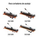 REP-CAZ-2+D1.jpg