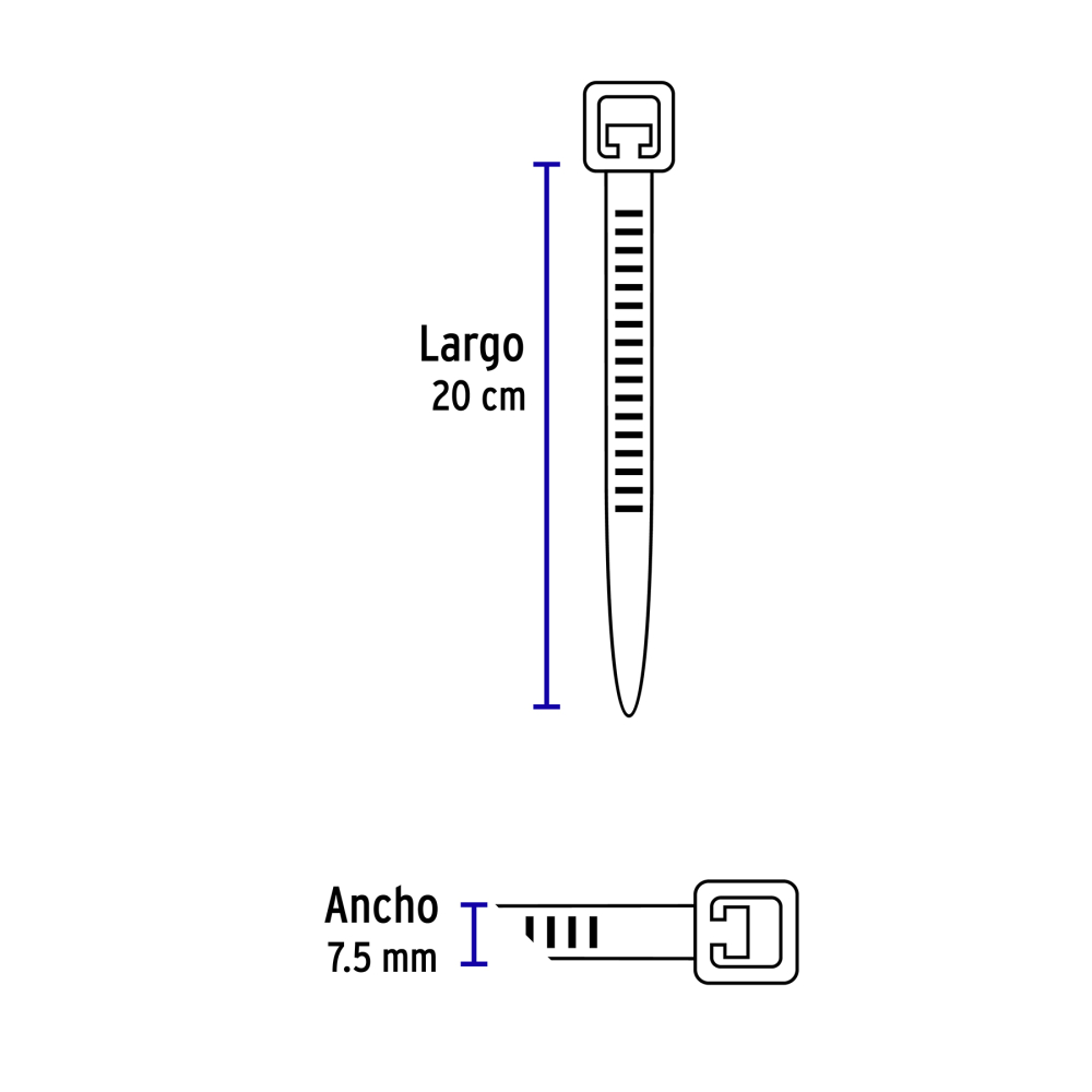 CIN-12020+FC2.jpg