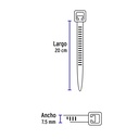 CIN-12020+FC2.jpg