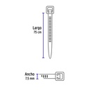CIN-12075+FC2.jpg