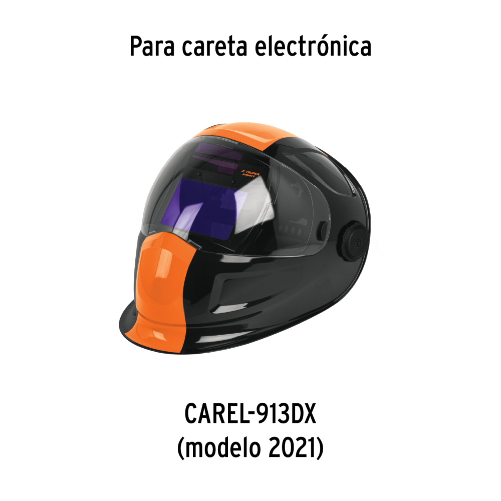REP-CAREL-913DX-1+D1.jpg