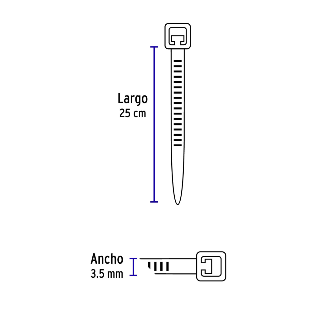 CIN-4025-M+D2.jpg