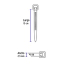 CIN-1815+D2.jpg