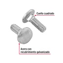 TORC-1-4X3-4+D1.jpg