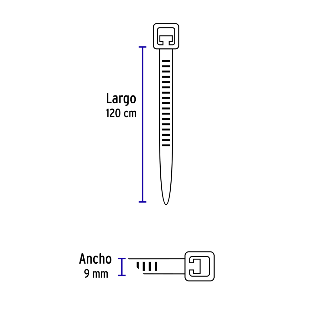 CIN-175120+FC2.jpg