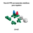 CV-CARCE+D2.jpg