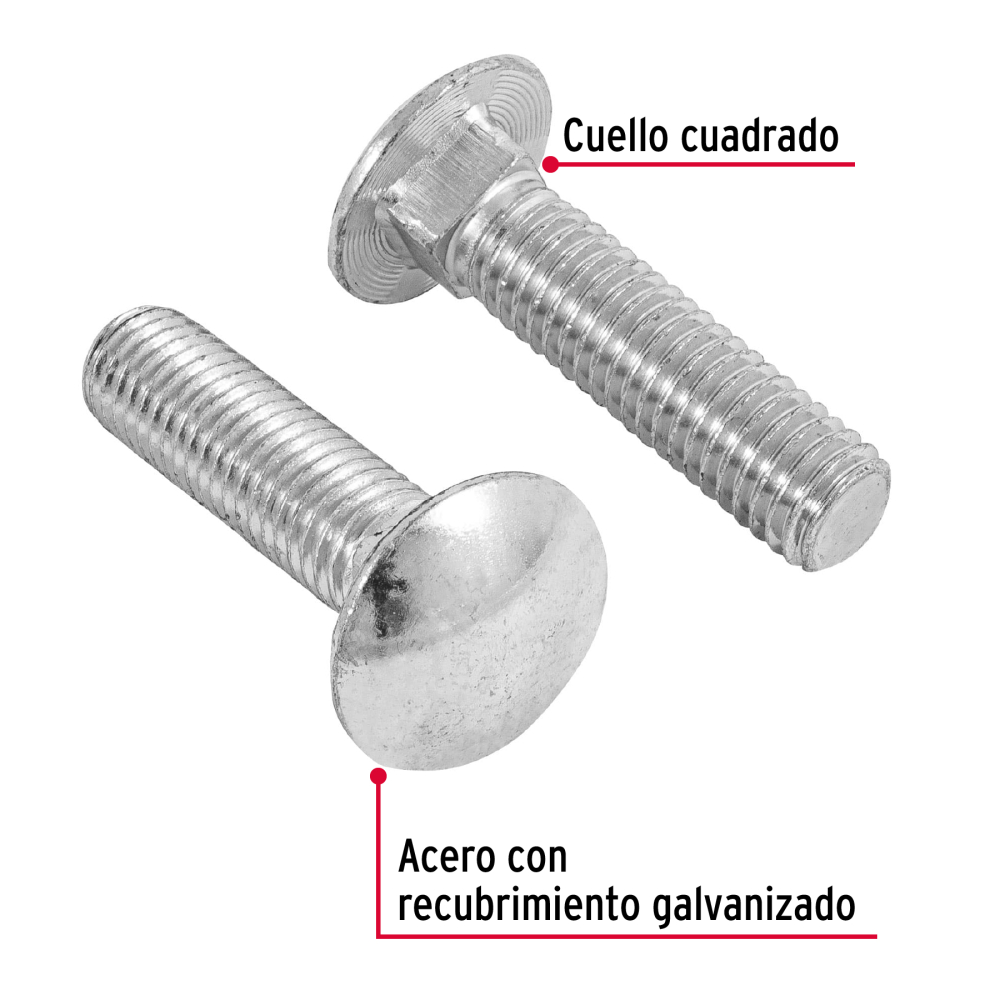 TORC-1-2X2+D1.jpg