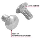 TORC-1-2X1+D1.jpg