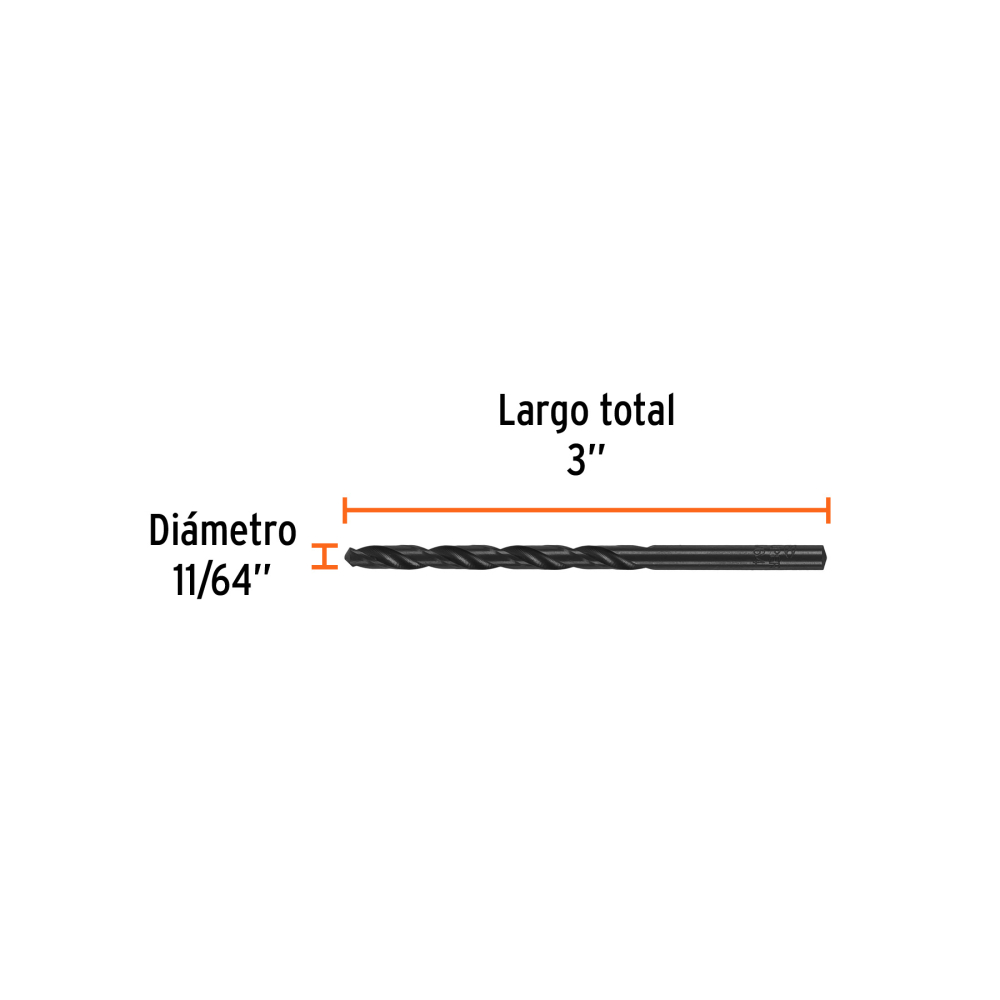 BAV-11-64-N+FC1.jpg