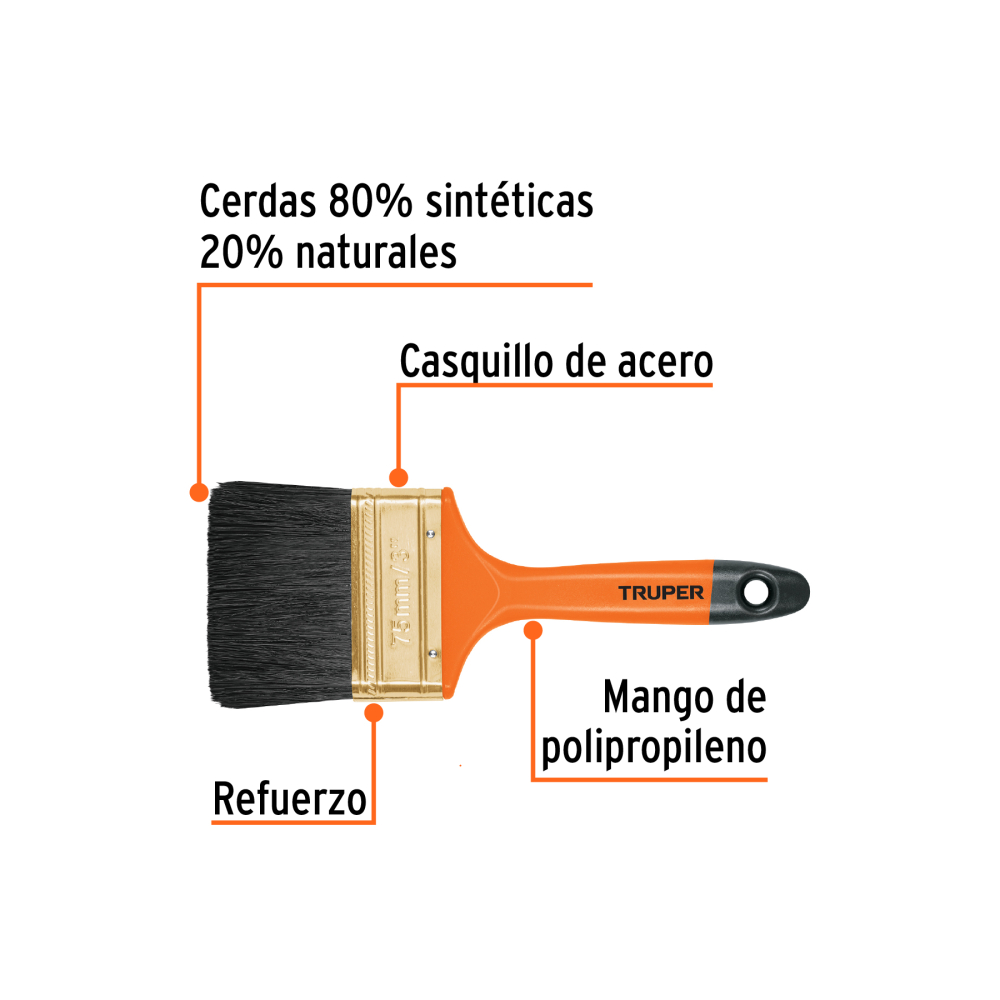 BRT-3+FC1.jpg