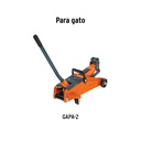 CJ-GAPA-2+D1.jpg