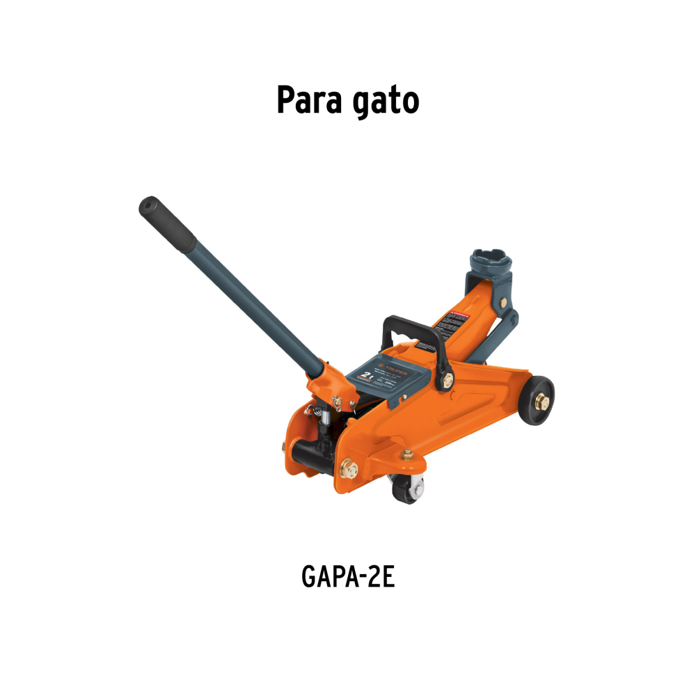 CJ-GAPA-2E+D1.jpg