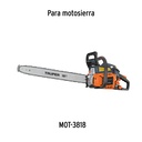 CJ-MOT-3818+FC1.jpg