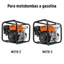 CB-GRUPO1+FC1.jpg