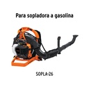 CB-SOPLA-26+FC1.jpg