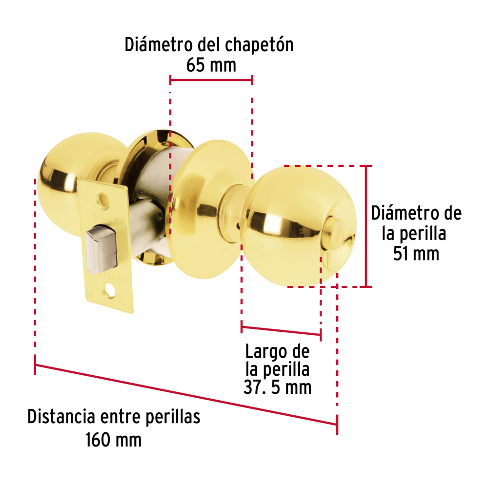 BAL-LB-BPB+FC1.jpg