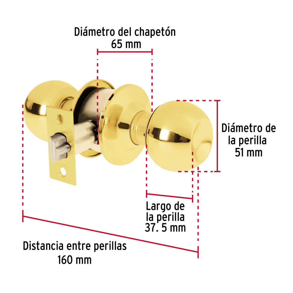BAL-LB-EPB+FC1.jpg