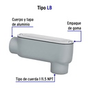 COLET-1-LB+FC1.jpg