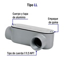 COLET-1-LL+FC1.jpg