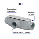 COLET-1-T+FC1.jpg