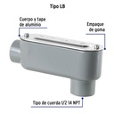 COLET-3-4-LB+FC1.jpg
