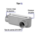 COLET-3-4-LL+FC1.jpg