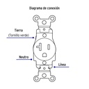 COSE-MS+FC3.jpg