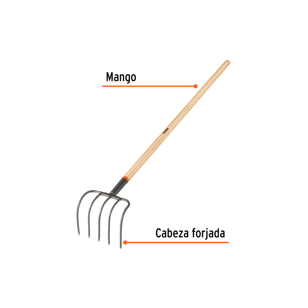CUL-5+FC1.jpg