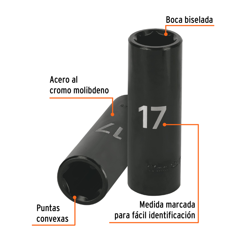 D-7317-ML+FC1.jpg