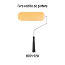 R-ROPI-920+D1.jpg