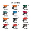 PAL-CA+D1.jpg