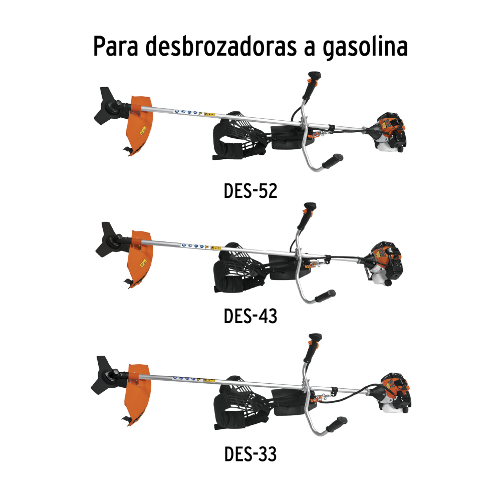 CAR-GRUPO-01+D1.jpg