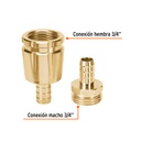 CFM-1-2R+FC1.jpg