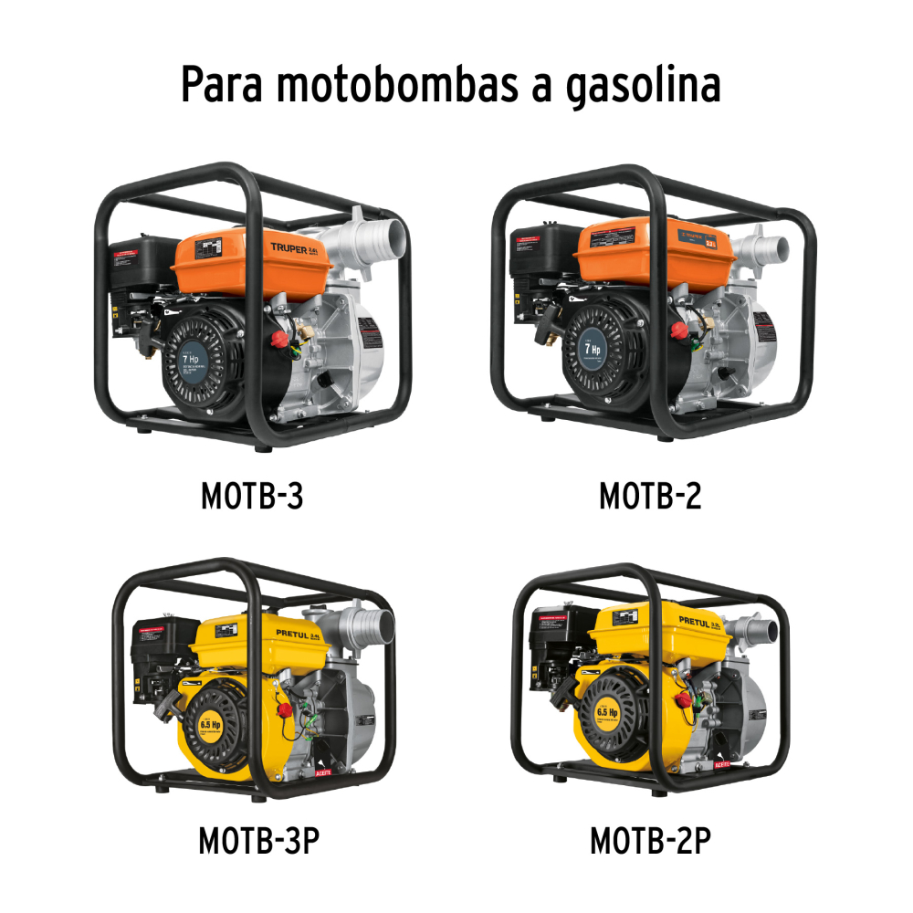 BAYO-MOTO+D1.jpg