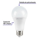LED-100F+FC1.jpg