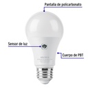 LED-75SL+FC1.jpg
