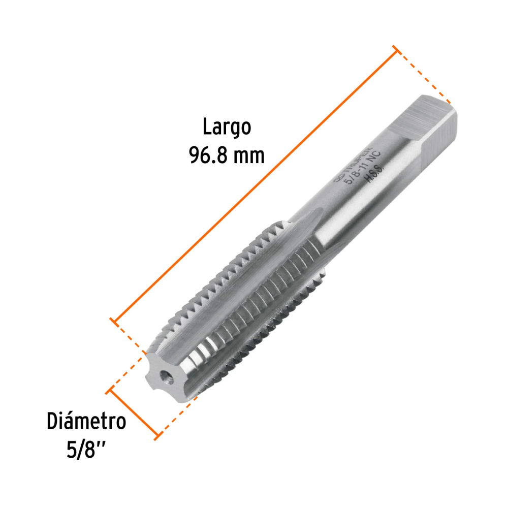 MT-5-8X11+FC2.jpg