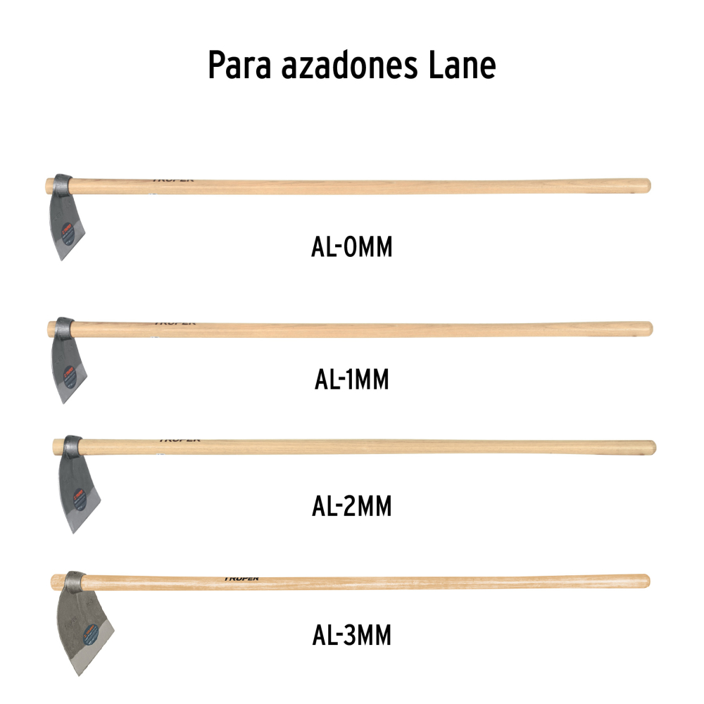 MG-AL+D2.jpg
