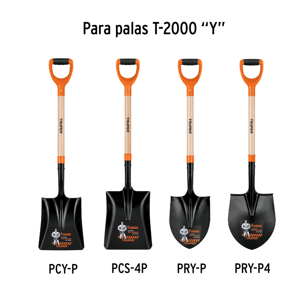 MG-PY-P+D1.jpg