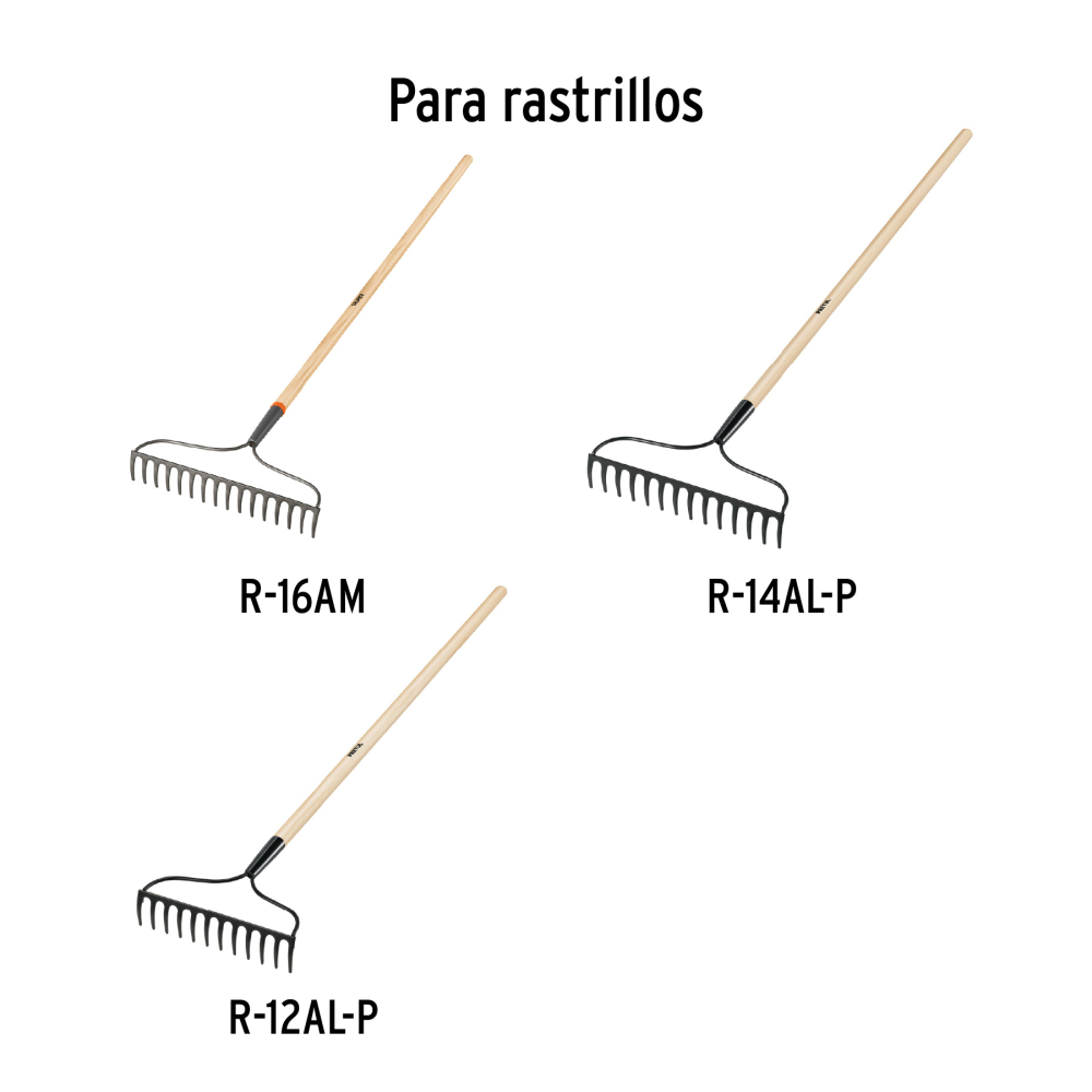 MG-R16AM+D1.jpg