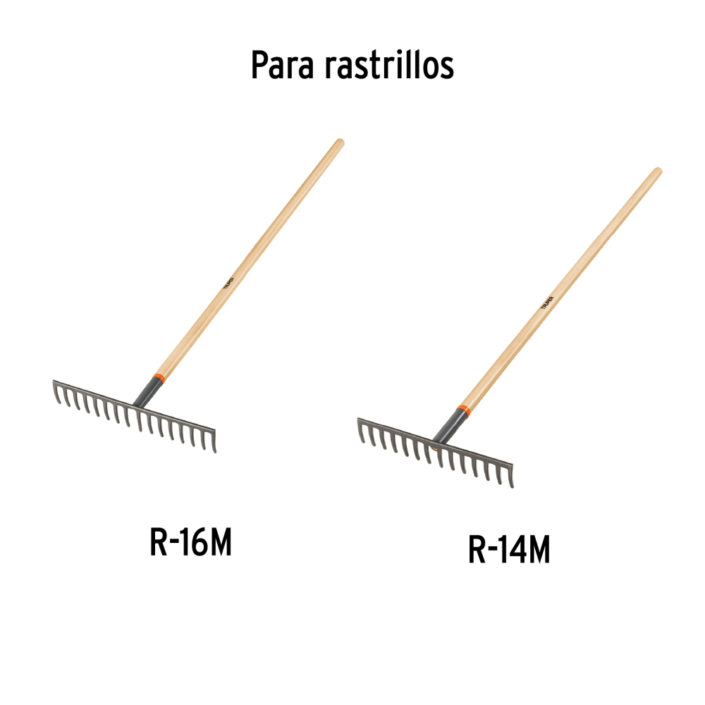 MG-R16M+D1.jpg