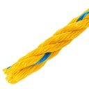 CUE-19M+D1.jpg