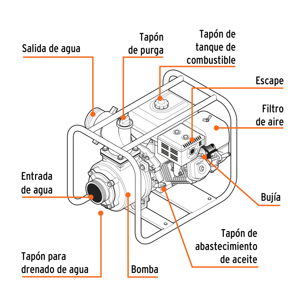 MOTB-2+FC1.jpg