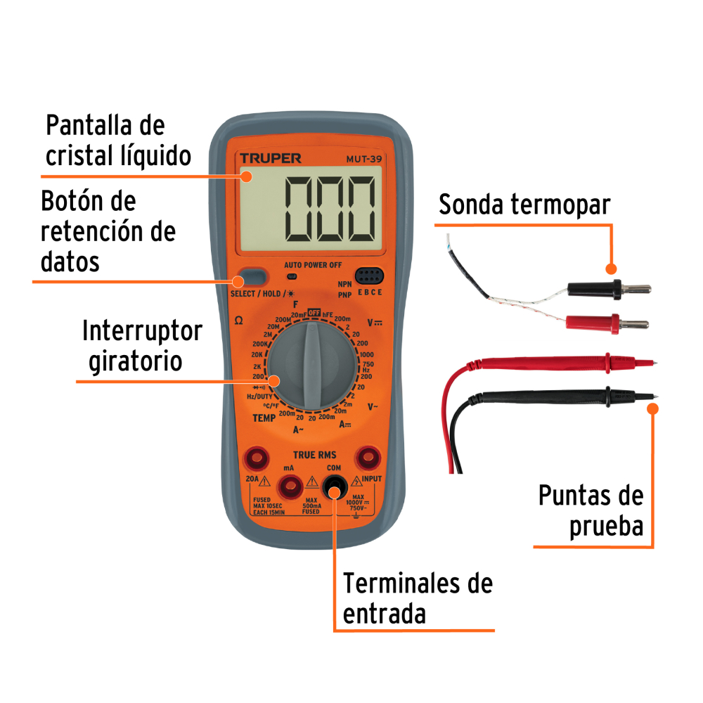 MUT-39+FC1.jpg