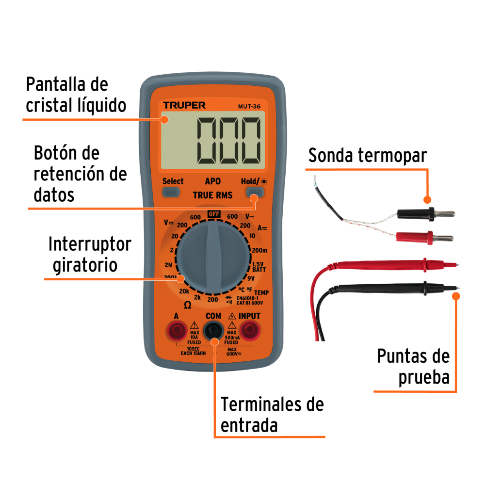 MUT-36+FC1.jpg
