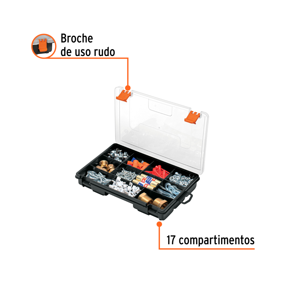 ORG-11+FC1.jpg