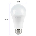 LED-100FX4+FC2.jpg