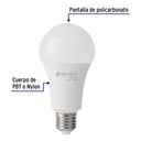 LED-125FBX4+FC1.jpg